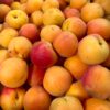 Apricots - 500g