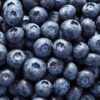 Blueberries - Punnet
