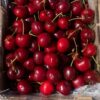 Cherries SPECIAL - 2kg BOX - PREMIUM QUALITY