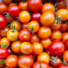 Tomatoes- Cherry Truss - 250gr (approx 1 small punnet)