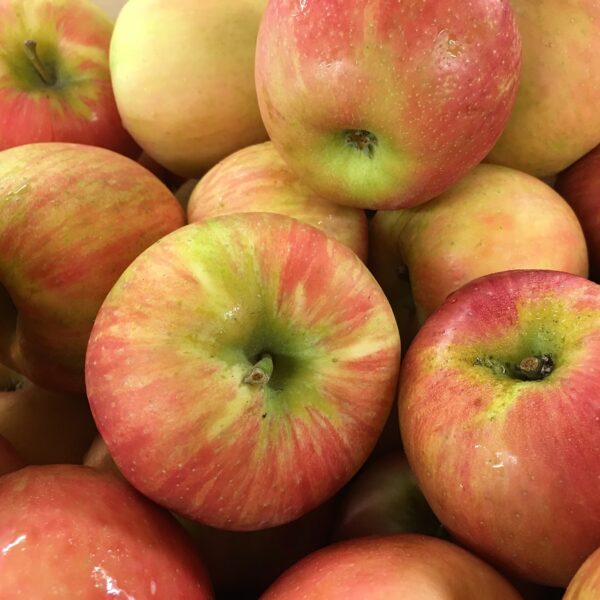 Apples - Gala (New Season) - 500g (approx 3 - 4 apples)