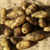 Potatoes - Kipfler - 500g
