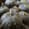 Pumpkin - Jap - Half (1.5-2kg)