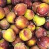 Plums - Amber Jewel - 500g