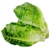 Lettuce - Baby Cos SPECIAL - 2 for $7