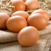 Eggs - Wiseman's Organics - dozen (800gr)