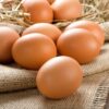 Eggs - Wiseman's Organics SPECIAL - 2 dozen (500g)