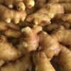 Ginger Young - 100 gr (approx 1 small knob)