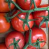 Tomatoes - Gourmet Garden - per 500gr (approx 4 - 5 tomatoes)