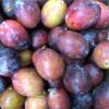 Plums - Sugar Plums - 500g