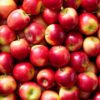 Apples - Missile - SPECIAL - 2kg for $20