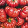 Tomatoes - Oxheart - 500 gr