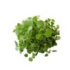 Micro herbs watercress - Forage (organic) - 150g bag