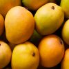 Mangoes - Kensington Pride - Each