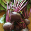 Beetroot - Red - bunch