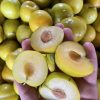 Plum - Yellow - 500g