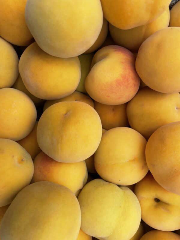 Peaches - Queen Yellow - 500g