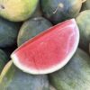 Watermelon - Seedless - Quarter (L size)