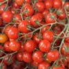 Tomato - Cherry on vine - SPECIAL - 500g