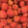 Lychee - 500g