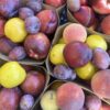 Stone fruit mix - Punnet (approx. 1.5kg)