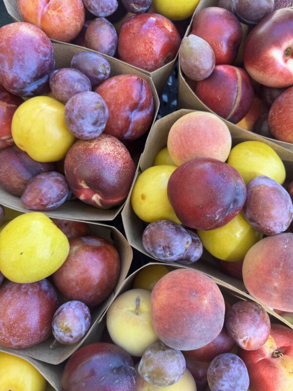 Stone fruit mix - Punnet (approx. 1.5kg)